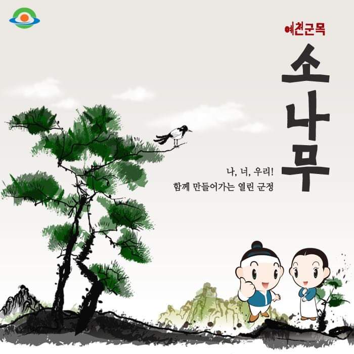 1.예천군목 소나무로 선정